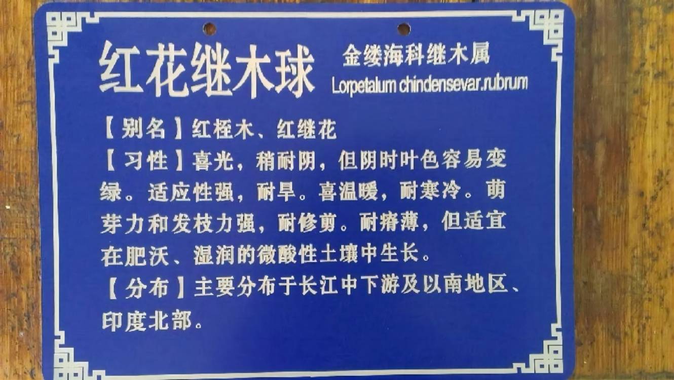 江苏无锡IC芯片磨字激光打印 专业加工定制